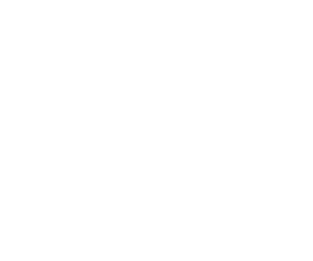 Express Services